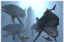 View - Cá thời tiền sử quý hiếm bỗng nổi lên ngoài khơi Cornwall | Báo Tri thức và Cuộc sống - TIN TỨC PHỔ BIẾN KIẾN THỨC 24H