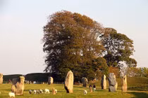 Chiêm ngưỡng vòng tròn đá cổ xưa bí hiểm, lớn hơn cả Stonehenge 