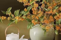 Cổ nhân dạy 'Nhà có cây lớn, đời sau không lo thiếu thốn'