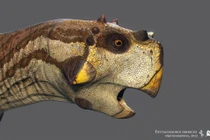 Hình thù kỳ lạ của loài khủng long ăn cỏ cổ xưa nhất thế giới 