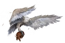 Sức mạnh khủng khiếp của loài chim có thể nhấc bổng voi 