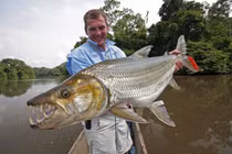 Loài cá nước ngọt đáng sợ nhất châu Phi, ăn cả cá sấu 