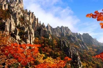 Top 10 Di sản thế giới mới hot nhất năm 2025 