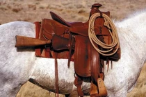 Sự thật về yên cương và bàn đạp ngựa trong chiến tranh cổ đại