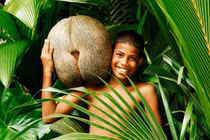 Kỳ lạ hạt cây lớn nhất thế giới: Nặng 25 kg, giống bộ phận cơ thể người 