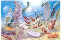 Sinh vật 'không thuộc về thế giới này' khiến khoa học bối rối xuyên thế kỷ 