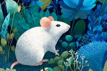 Đông chí cận kề, ba con giáp Thần Tài ban lộc giàu ú ụ