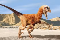 Sự thật khó tin về loài khủng long “kẻ cướp” kỷ Jura