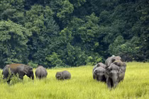 Điều kỳ diệu của vườn quốc gia lâu đời, nổi tiếng nhất Thái Lan 