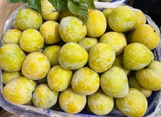 Mận lạ Trung Quốc 450.000 đồng/kg, khách tranh nhau mua