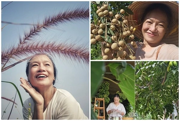 Thích mắt khu vườn ngập rau củ và hoa trái của nghệ sĩ Tú Oanh