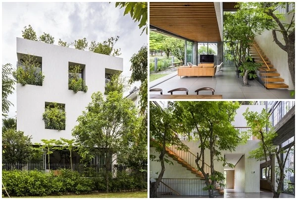 Ngôi nhà đặc biệt ở TP HCM, 4 lần đạt giải thưởng quốc tế