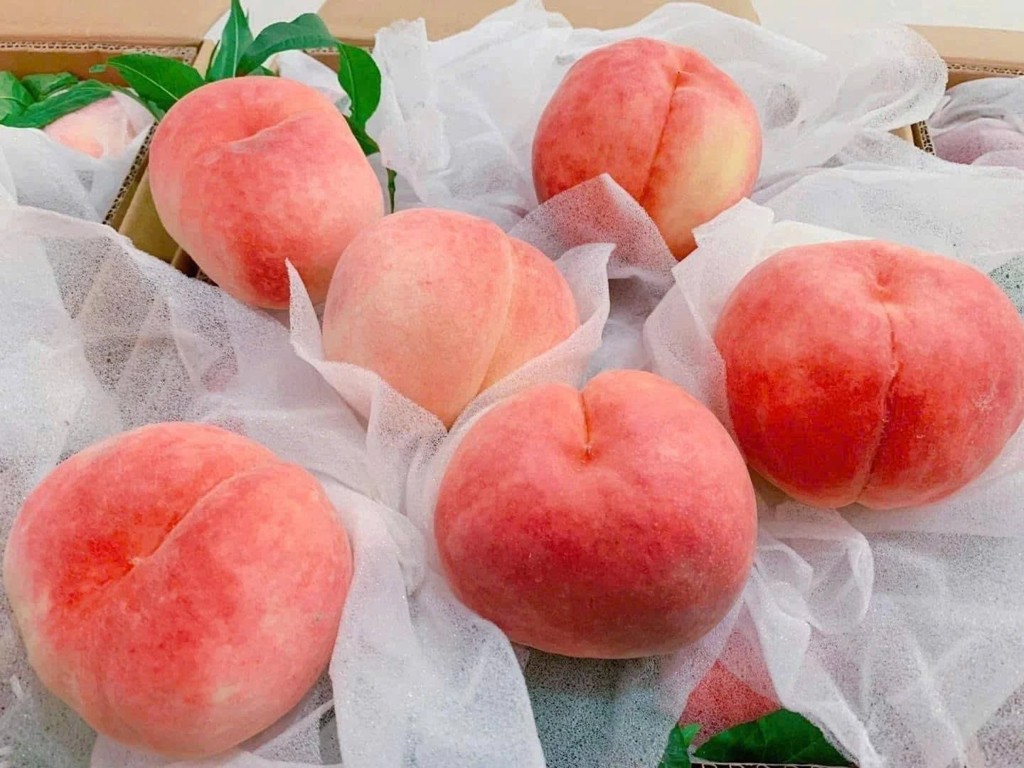 Đào tiên Trung Quốc 40.000 đồng/quả bán tràn lan chợ mạng 