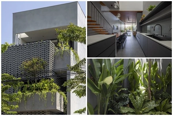 Báo Mỹ ca tụng ngôi nhà "biết thở" ở Hưng Yên 