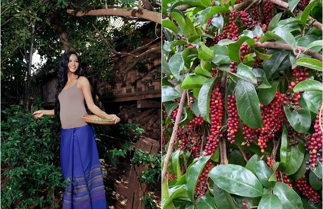 Bên trong khu vườn hơn 2.000m2 của Hoa hậu H'Hen Niê