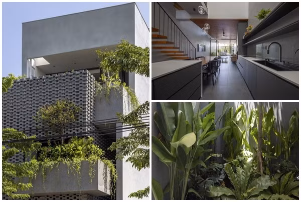 Báo Mỹ ca tụng ngôi nhà "biết thở" ở Hưng Yên 