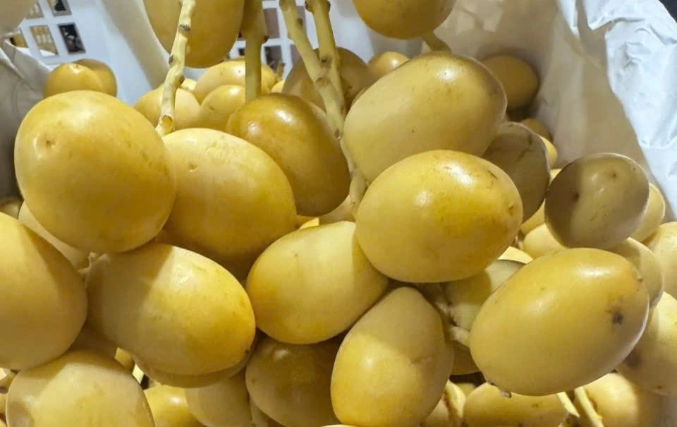 Nguồn gốc chà là tươi vài chục nghìn đồng/kg bán đầy chợ mạng