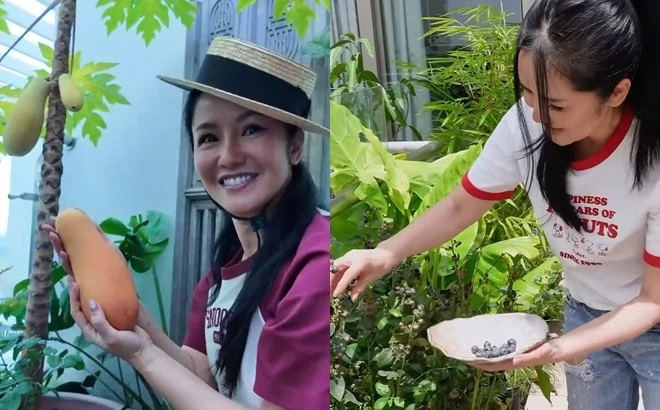 Cận cảnh penthouse 650m2 ngập cây xanh của diva Hồng Nhung