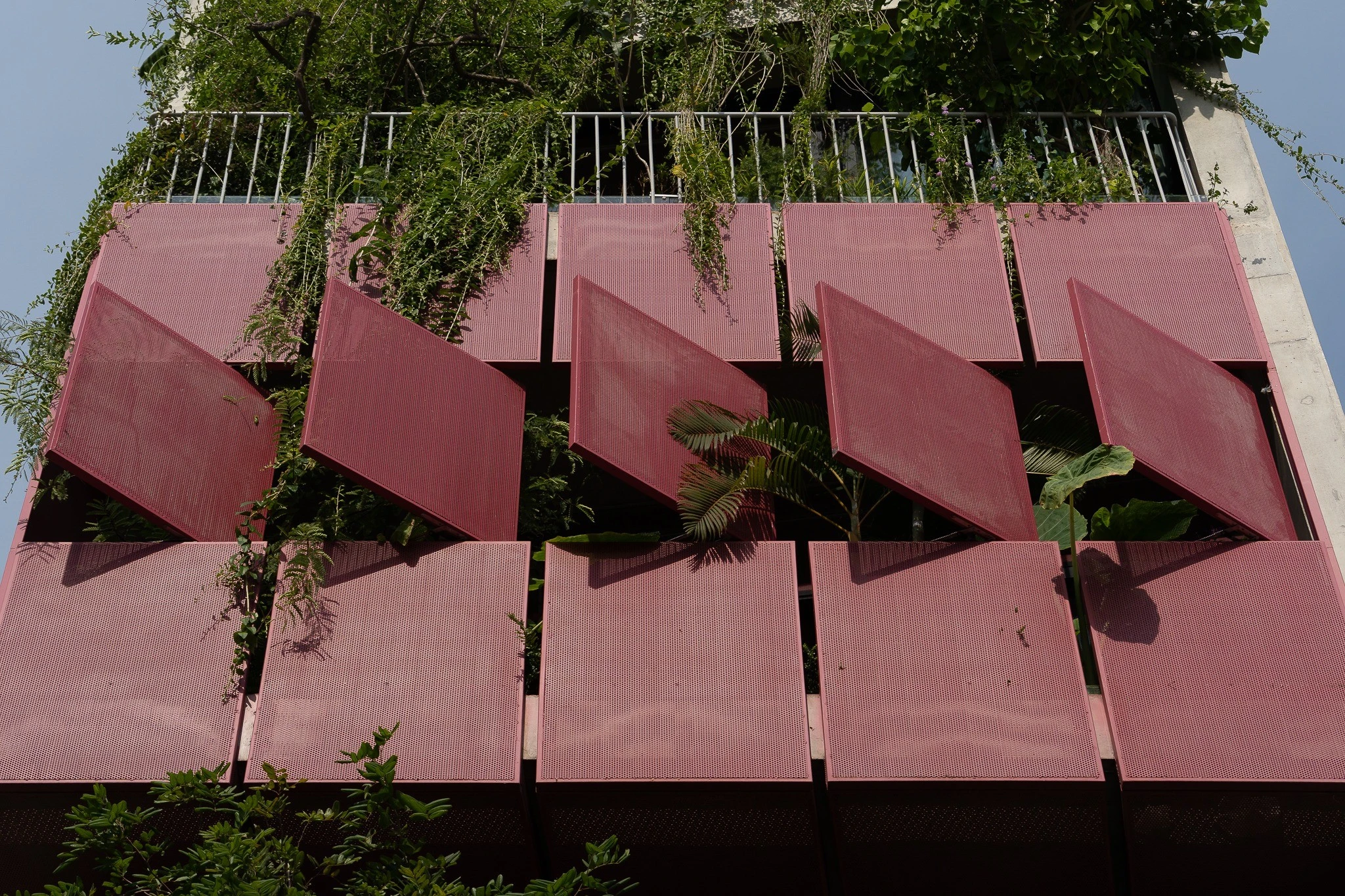 Chiêm ngưỡng nhà bê tông trần đẹp giản dị tại Sài Gòn 