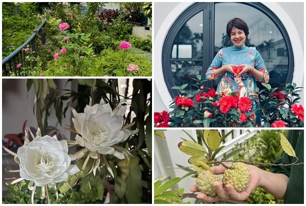 Cận cảnh khu vườn rực rỡ sắc hoa của MC Diễm Quỳnh