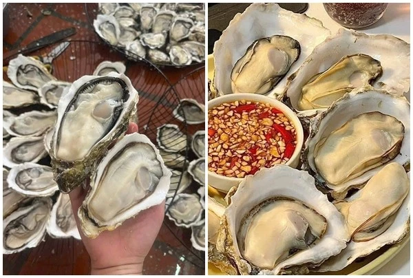 Hàu vàng Trung Quốc giá rẻ đổ bộ chợ Việt