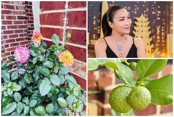 Cận cảnh biệt thự ngập hoa trái của Hồng Ngọc tại Mỹ