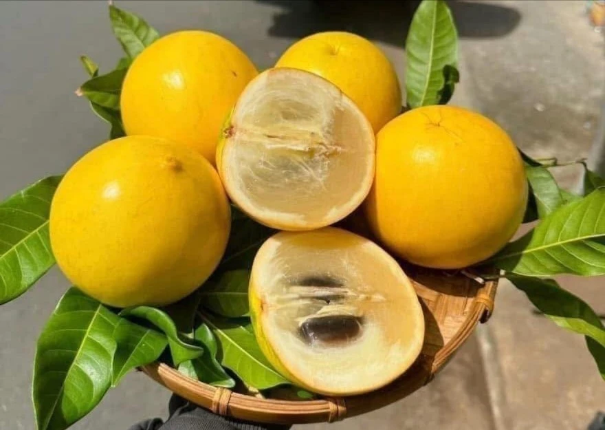 Loại quả từng 'đắt như vàng' nay bán rẻ hơn cho