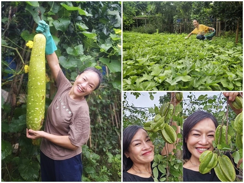 Khu vườn giản dị ngập rau trái của diễn viên Tú Oanh