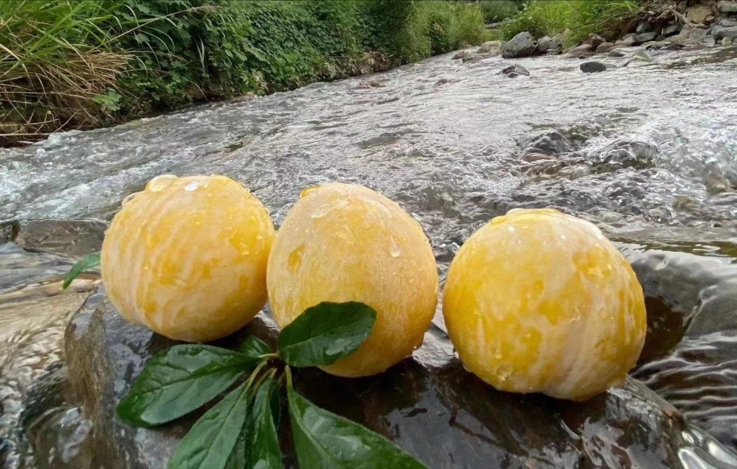 Từng giá nửa triệu đồng/kg, mận cau Trung Quốc rẻ không ngờ