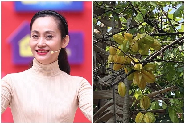 Khu vườn giản dị ngập rau trái của NSƯT Hạnh Thúy