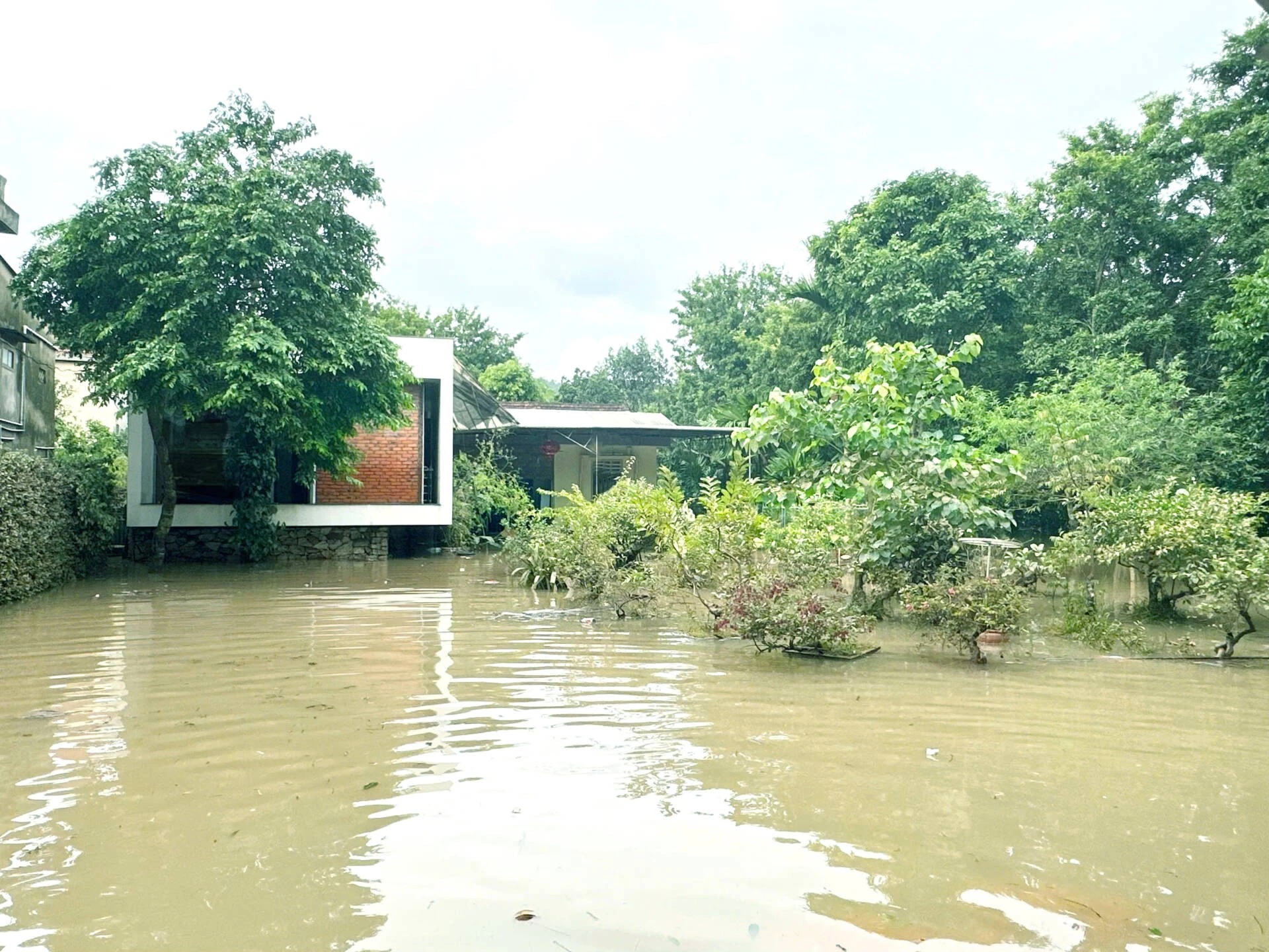 Ngôi nhà có khả năng thích ứng với ngập lụt ở Nghệ An 