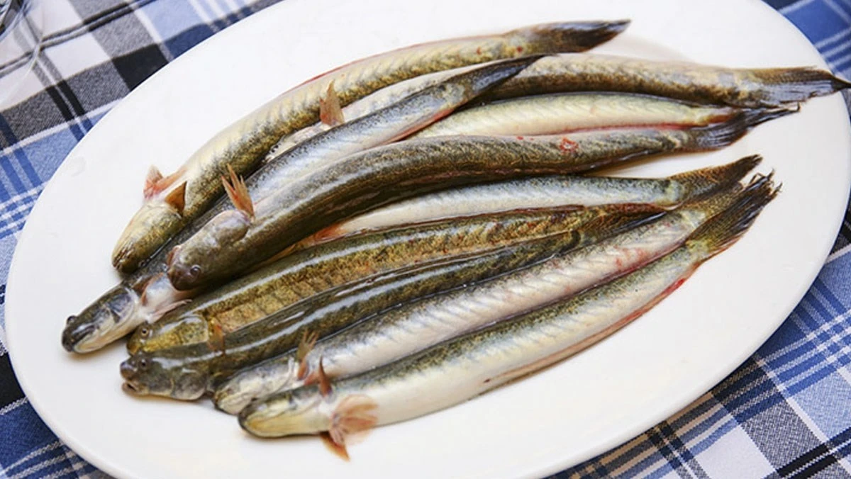 Loại cá "nhà nghèo" hóa đặc sản hơn nửa triệu đồng/kg