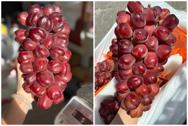 Nho trái tim đắt gấp 10 lần nho “quý tộc” gây sốt chợ Việt