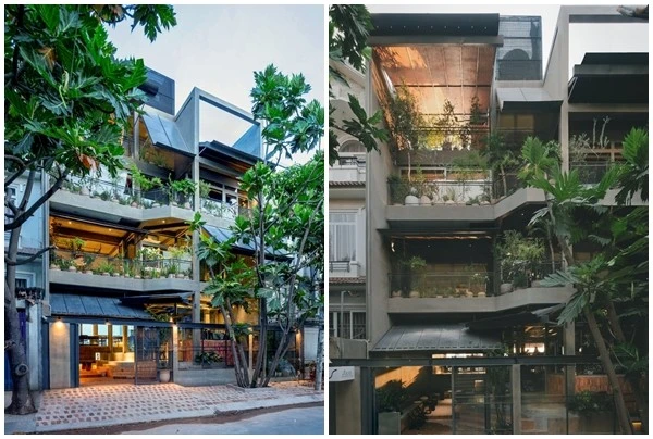 Ngôi nhà khép kín "lột xác" thành không gian ngập nắng gió