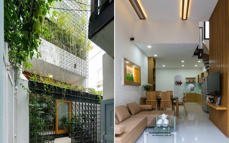 Nhà phố 50m2 trong hẻm nhỏ ngập ánh sáng và cây xanh