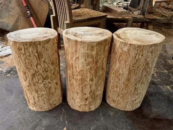 Tận thấy loại gỗ xưa dành cho vua chúa nay chục tỷ mỗi khúc 