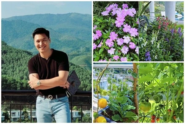Ngắm biệt thự trên núi hoa giăng khắp lối của Mạnh Trường