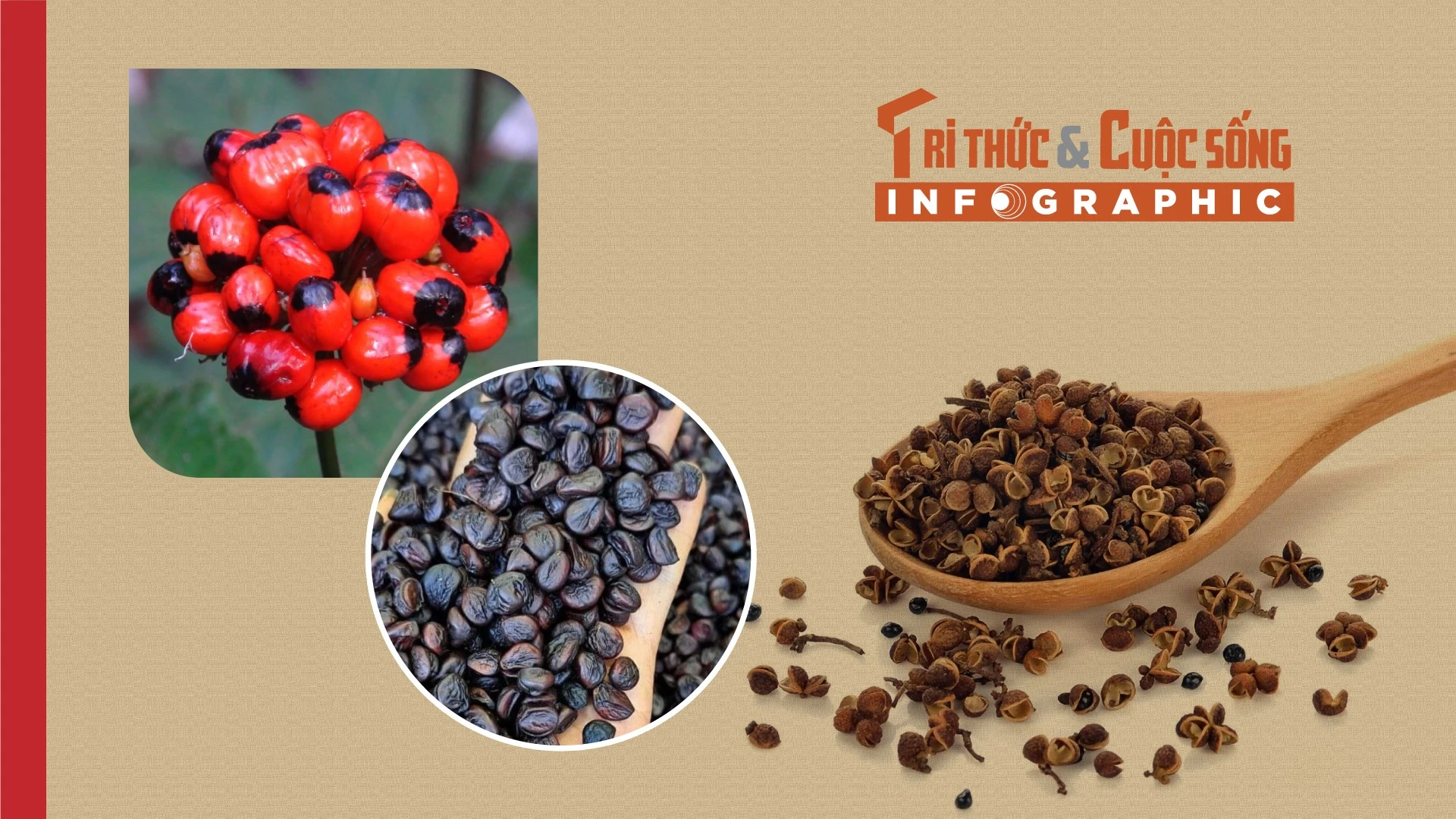 [INFOGRAPHIC] 3 loại hạt đắt như vàng của Việt Nam 