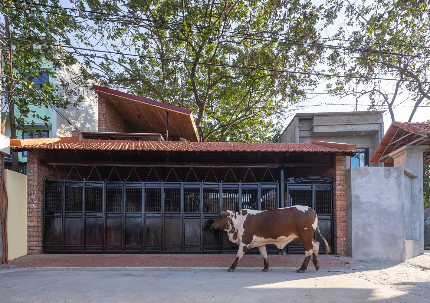 Báo Mỹ hết lời ca tụng nhà gạch mộc trầm mặc giữa Hà Nội