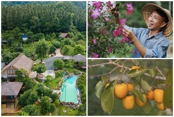 Toàn cảnh nhà vườn 10.000m2 ở Hà Nội của "ông hoàng nhạc đỏ"