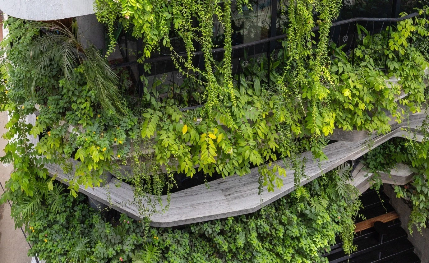 View - Chiêm ngưỡng tòa nhà 8 tầng như ốc đảo xanh giữa lòng Hà Nội | Báo Tri thức và Cuộc sống - TIN TỨC PHỔ BIẾN KIẾN THỨC 24H