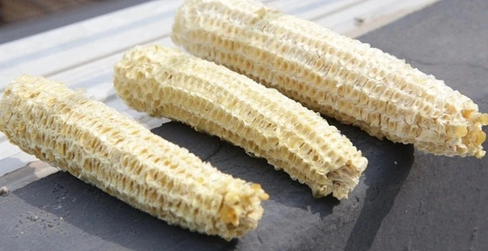 Phế phẩm vứt đầy ruộng thành đặc sản hơn 100.000 đồng/kg 