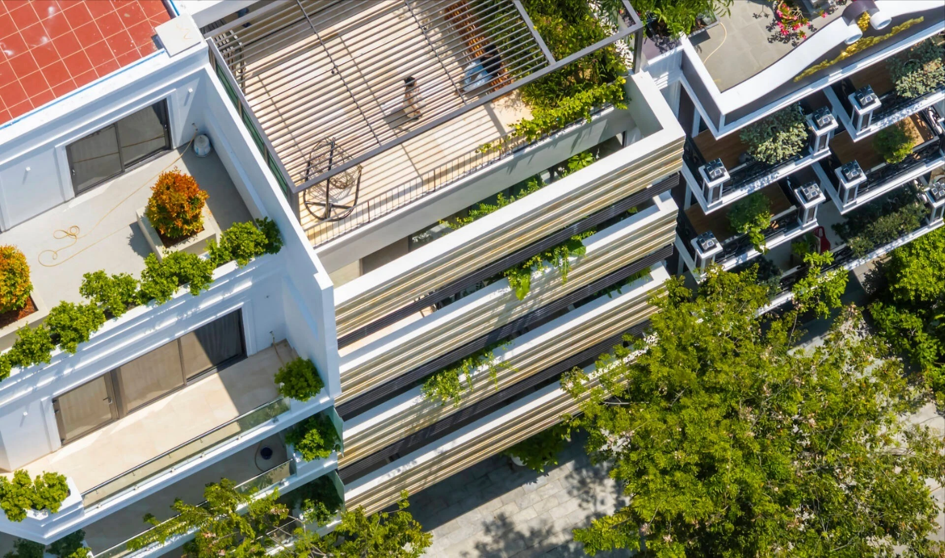 Nhà phố xanh mướt đẹp mê mẩn giữa rừng bê tông