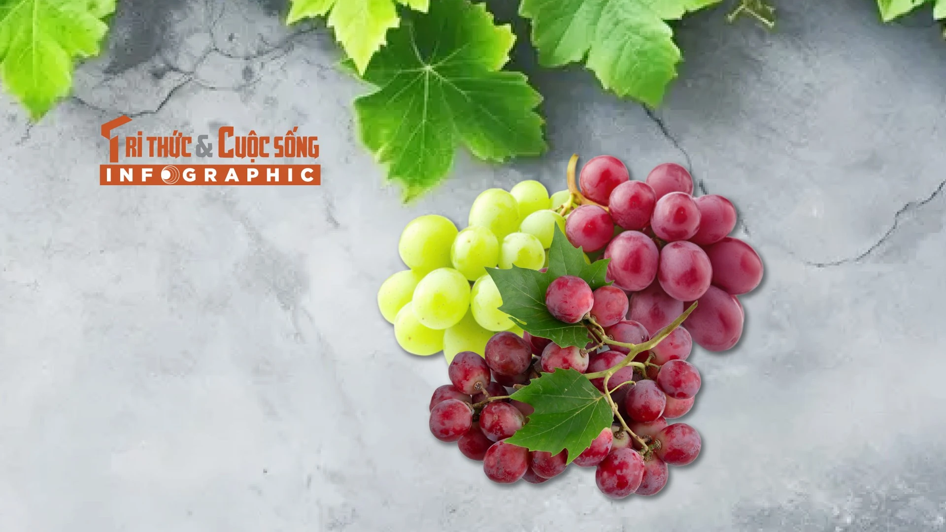 [INFOGRAPHIC] 4 loại nho Trung Quốc giá rẻ bán đầy chợ Việt 