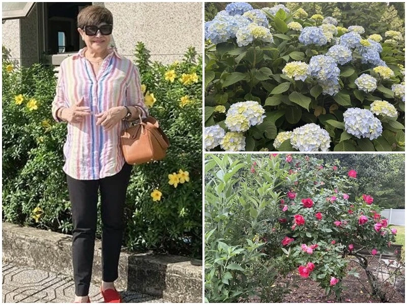 Khu vườn ngập hoa đẹp mê mẩn của vợ cũ Đàm Vĩnh Hưng 