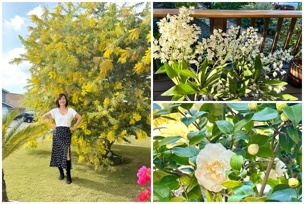 Biệt thự sân vườn đẹp như resort của nghệ sĩ Hồng Đào 