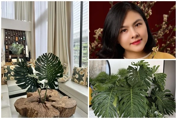 Biệt thự 1.000m2 lá xanh tràn mọi góc của Vân Trang