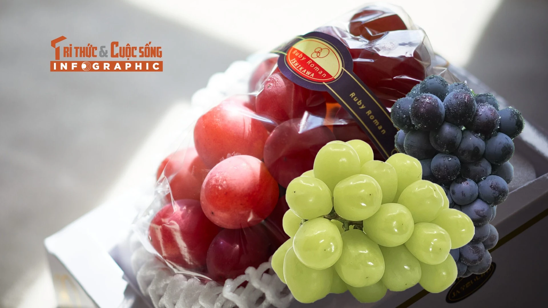 [INFOGRAPHIC] 3 giống nho đắt đỏ tại Nhật Bản