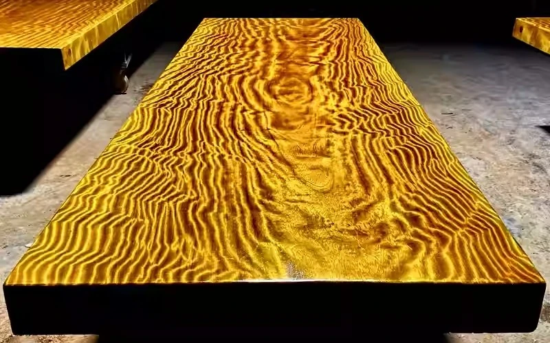 Tò mò loại gỗ quý hơn vàng ròng, không ai dám trồng