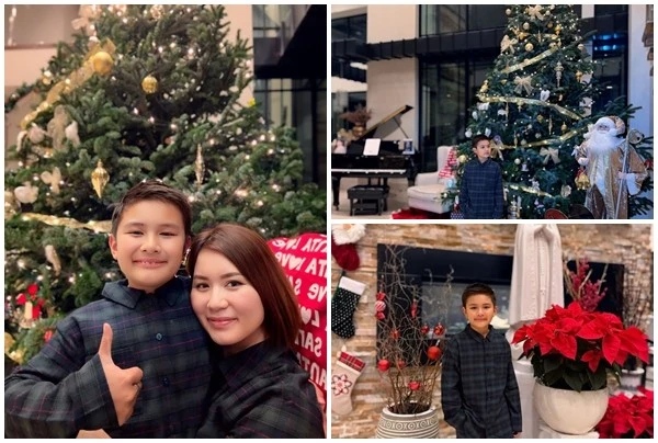 Biệt thự 1.500m2 rực rỡ đón Giáng sinh của vợ cũ Đan Trường 